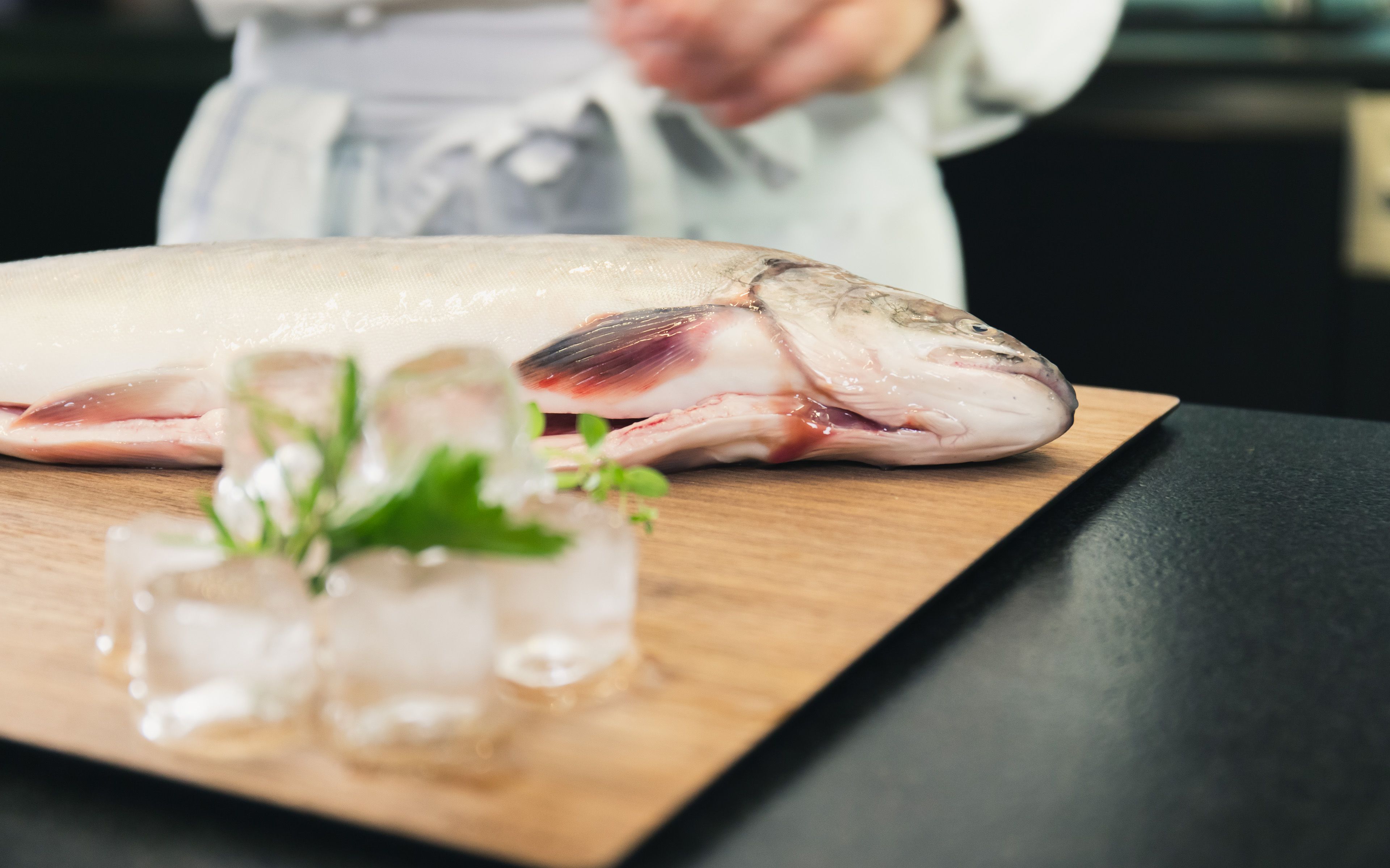 Fisch-Farce